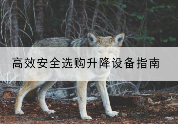辽源升降货梯厂家推荐-*安全选购升降设备指南