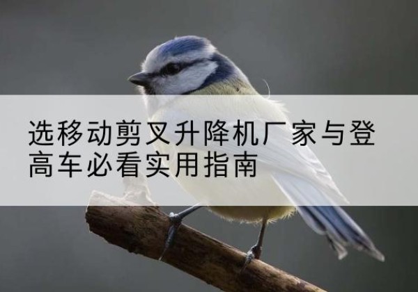 辽源电动升降机厂家-选移动剪叉升降机厂家与登高车必看实用指南